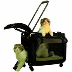 Tutto Small Pet On Wheels